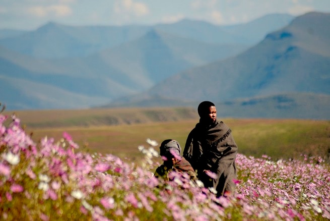 Zenzo Ngqobe, Nozipho Nkelemba