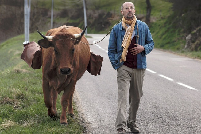 LA VACHE: IN VIAGGIO CON UNA MUCCA