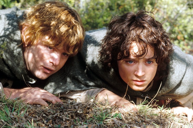 Elijah Wood, Sean Astin