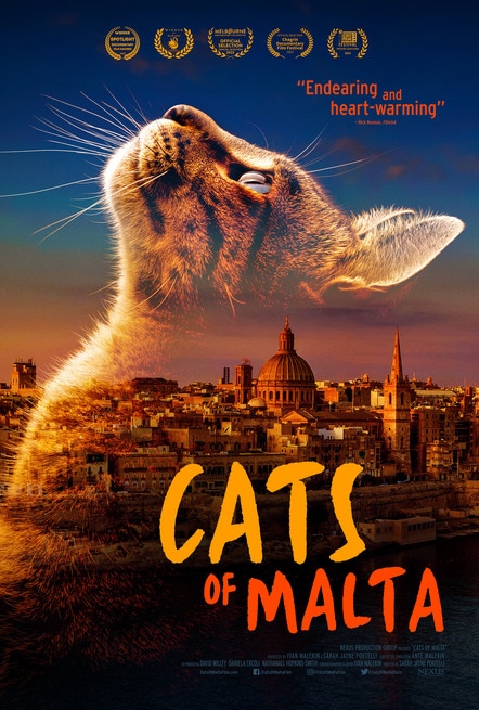 Cats Of Malta 2023 FilmTV It   Ftv45 645118bcb3d45 Cats Of Malta Xlg 