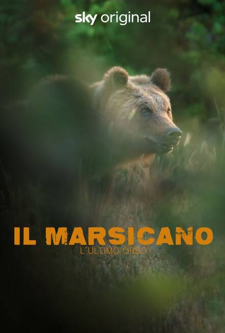 Il Marsicano: l'ultimo orso