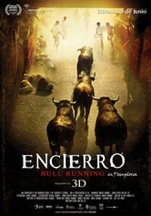 Encierro 3D: Bull Running in Pamplona