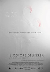 Il colore dell'erba