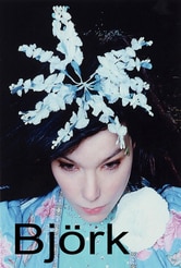 Bjork - The Creative Universe of a Music Missionary