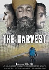 The Harvest