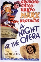 Una notte all'Opera