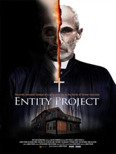 Entity Project