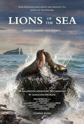 Lions of the Sea