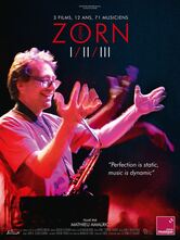 Zorn I (2010 - 2016)