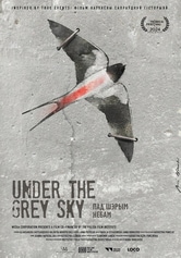 Under the Grey Sky