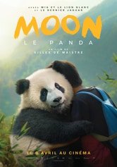 Moon the Panda