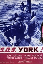 S.O.S. York