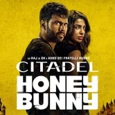 Citadel: Honey Bunny